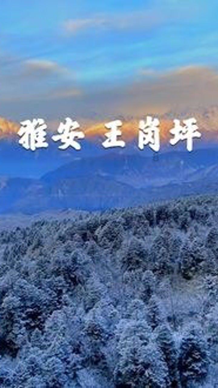云南有哪些特色小吃是外地没有，值得去打卡的？